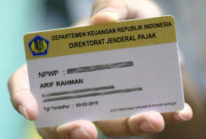 NPWP Online, Cara Mudah dan Cepat Membuat NPWP Lewat Aplikasi