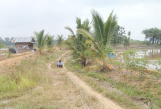 Kades Lubuk Gedang Imbau Petani Tidak Lakukan Alih Fungsi Lahan