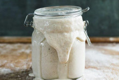 Petualangan Rasa, Panduan Lengkap Membuat Sourdough Starter Sendiri