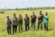 Ikut Lomba Sadesahe, Pemdes Arah Tiga Tentukan Lokasi Tanam Jagung