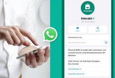 Bisnis Makin Laris dengan WhatsApp Business! Kenali Fitur Barunya di Sini