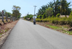 Jalan Dibangun, Setia Budi 'Merdeka' dari Jalan Buruk 