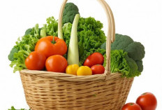 Sayuran dalam Diet Seimbang: Kunci Utama Hidup Sehat dan Bugar!