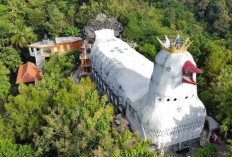 Menapaki Jejak Alam di Bukit Rhema, Magelang   ﻿