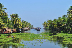 Kerala Backwaters: Surga Tersembunyi di India Selatan