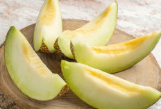 Segar dan Kaya Nutrisi: 10 Manfaat Buah Melon untuk Kesehatan yang Wajib Diketahui!