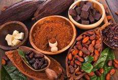 Cokelat untuk Kecantikan: Manfaat Cokelat untuk Perawatan Kulit dan Rambut Alami  ﻿