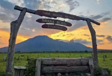 Eksplorasi Keindahan Savana Of Jawa,  Taman Nasional Baluran di Banyuwangi