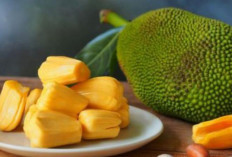 Nangka Lebih dari Sekadar Manis, Eksplorasi Cita Rasa Uniknya!