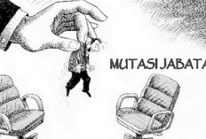 Alasan Pemerintah Daerah Perlu melakukan Mutasi, Rotasi, Promosi dan Demosi