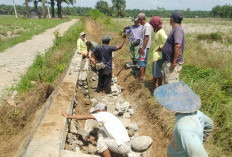 Jelang Musim Tanam, Petani Goro Normalisasi Jaringan Irigasi