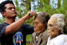 Tradisi Masyarakat Tana Toraja Dalam Ritual Ma’Nene Beri Persembahan Roh Hingga Gantikan Baju Jenazah Setiap T