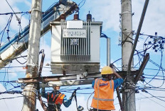 Sebagian Masyarakat tak Memahami Dampak Tanam Tumbuh Terhadap Jaringan Listrik