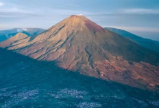 Sindoro Meniti Jejak Menuju Puncak dan Filosofi Kehidupan