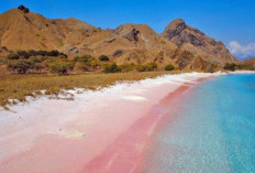Eksplorasi Keindahan Pink Beach di Indonesia, Pantai Dengan Pasir Berwarna Pin