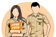 Sekda Bocorkan Syarat Honorer Bisa Diangkat ASN PPPK