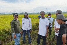 Pesan Kepala DKP, Kurangi Penggunaan Pestisida Kimia