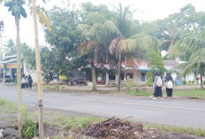 Penerapan Zonasi Sekolah Wilayah Belum Maksimal, Ternyata Ini Alasannya