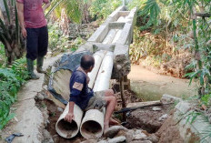 Petani Sungai Landai Talang Buai, Harap Sapuan-Wasri Lanjutkan Pembangunan 