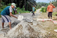 Rawan Kecelakaan, Warga Dua Desa Tampal Jalan Kabupaten