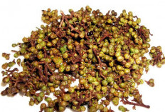 Andaliman: Sensasi Pedas Getir yang Menggoda dari Tanah Batak