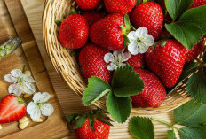 Lebih dari Sekadar Manis, Rahasia Manfaat Strawberry yang Jarang Diketahui