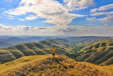Wairinding, Surga Tersembunyi di Nusa Tenggara Timur yang Memukau