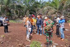 Belasan Kilometer Jalan Bakal Dibangun Menggunakan Dana BPDPKS