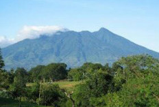 Menaklukkan Puncak Salak Panduan Lengkap Rute Pendakian Gunung Salak Bogor