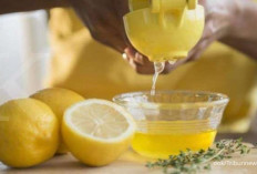 6 Resep Minuman Segar yang Dapat Membantu Menghancurkan Batu Ginjal! Rasakan Manfaatnya