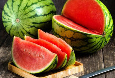 Jangan Salah Pilih! Tips Ampuh Memilih Semangka Matang Sempurna: Manisnya Bikin Nagih, Segarnya Bikin Ketagiha