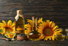 Kandungan Nutrisi Minyak Bunga Matahari: Vitamin E, Asam Linoleat, dan Manfaatnya!