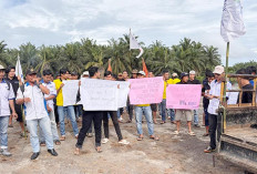 Pekerja PT. SAP Mogok Kerja, Inilah Tuntutannya