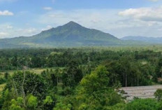 Gunung Bungsu Keindahan Tersembunyi di Jantung Bukit Barisan