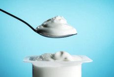 Manfaat Yogurt untuk Anak-Anak: Mendukung Pertumbuhan, Meningkatkan Kekebalan Tubuh, dan Mencegah Alergi!