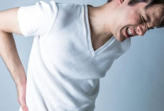 Sakit Pinggang: Penyebab, Gejala, dan Cara Mengatasinya