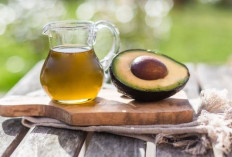 Alpukat untuk Kecantikan Alami: Rahasia Kulit Glowing dan Rambut Sehat!