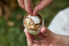 Telur Balut, Lezatnya Kuliner Khas Filipina yang Unik dan Menggugah Selera