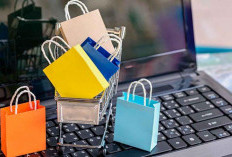 Menangkap Peluang Bisnis Online Produk Bayi Lokal, Strategi untuk Sukses di Pasar yang Berkembang