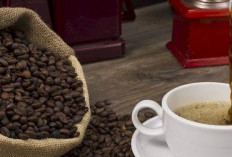 Kopi Gayo Aceh, Aroma yang Mendunia: Keharuman dari Tanah Rencong yang Memikat Pecinta Kopi