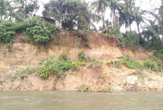 Erosi Sungai di Pondok Panjang Semakin Mengkhawatirkan