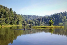 Situ Gunung Surga Tersembunyi di Kaki Gunung Gede Pangrango