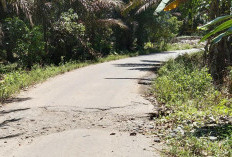 Kondisi Jalan Provinsi di Talang Sakti Memprihatinkan