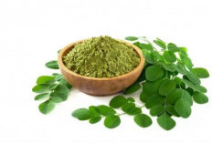 Kadar Asam Urat Tinggi Atasi dengan Daun Herbal, Begini Caranya