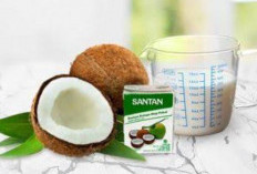 Rahasia Dapur: 4 Cara Menyimpan Santan Kemasan agar Awet dan Tidak Masam