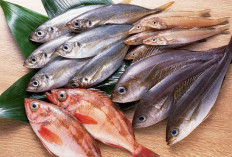 Rahasia Ikan Tanpa Amis, Panduan Marinasi untuk Cita Rasa Sempurna