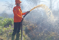 Kebakaran Lahan di XIV Koto Belum Bisa Diatasi 