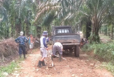 Mandiri! Petani Talang Buai Goro Timbun Lobang Jalan 