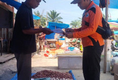 Harga Cabai Makin Pedas Tembus Rp 80.000 Per Kg