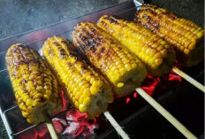 Cocok Untuk Makan Bersama , 7 Menu Bakar Bakar di Malam Tahun Baru